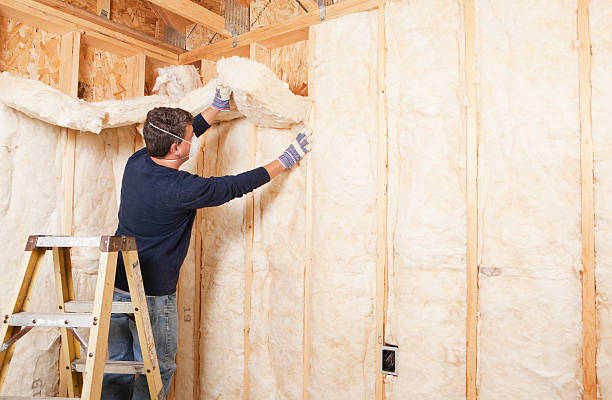 Best Wall Insulation Installation in Williamston, MI